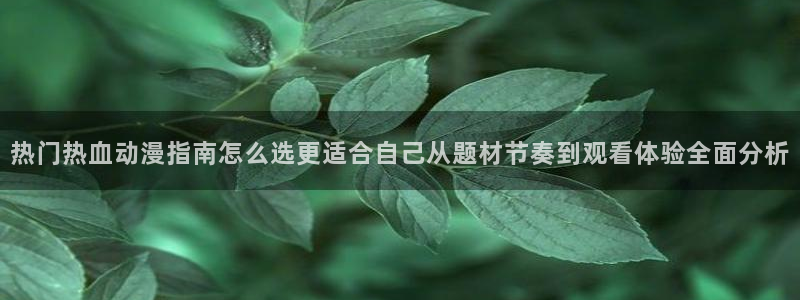 好看动漫推荐