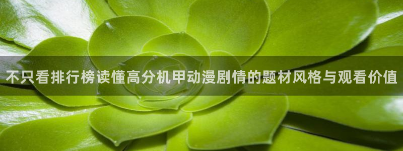 名侦探柯南动漫