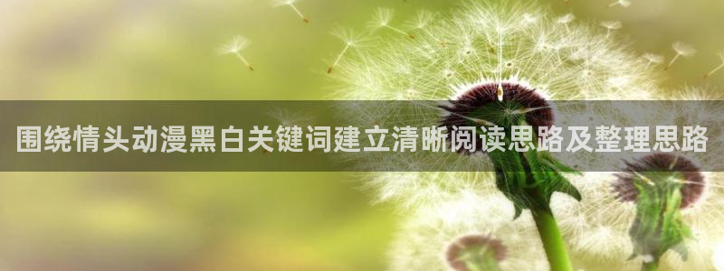 动漫overflow：围绕情头动漫黑白关键词建立清晰阅读思路及整理思路